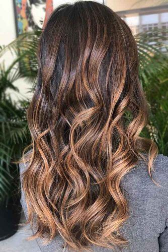 Chestnut Brown Highlights