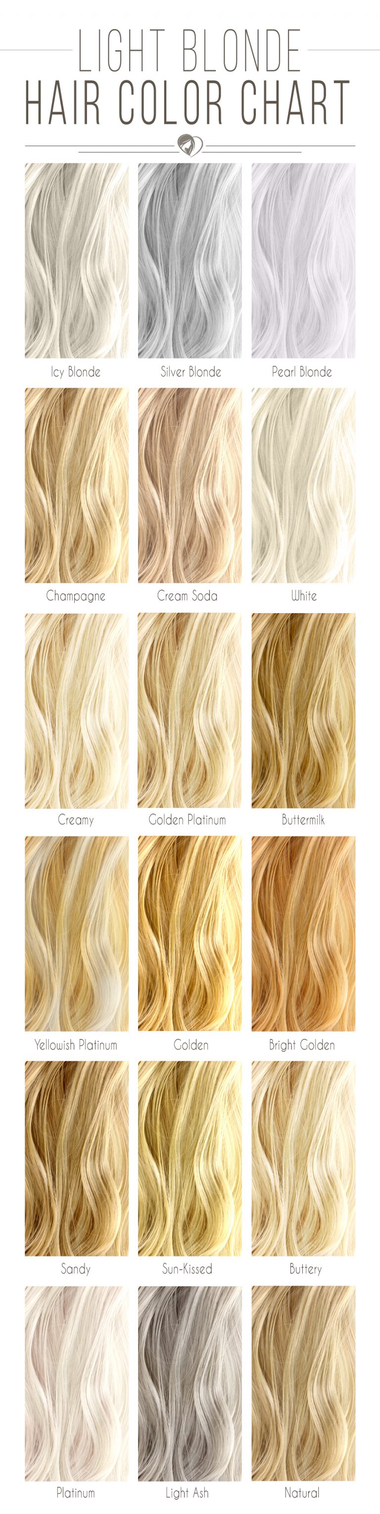 Shades Of Hair Color Chart