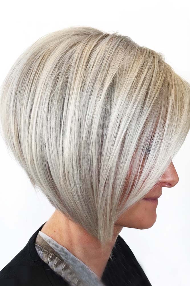 Platinum Blonde Pixie-Bob #platinumblonde #bob 