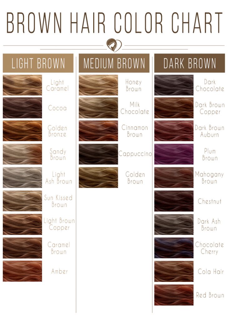 Shades Of Brunette Hair Color Chart
