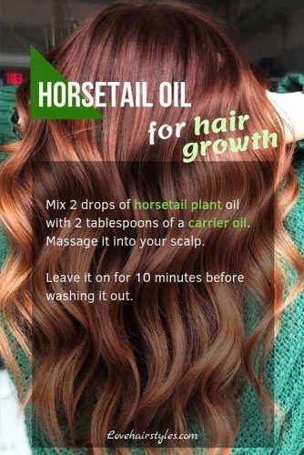 Horsetail Plant Oil #hairgrowthtips #hairoil