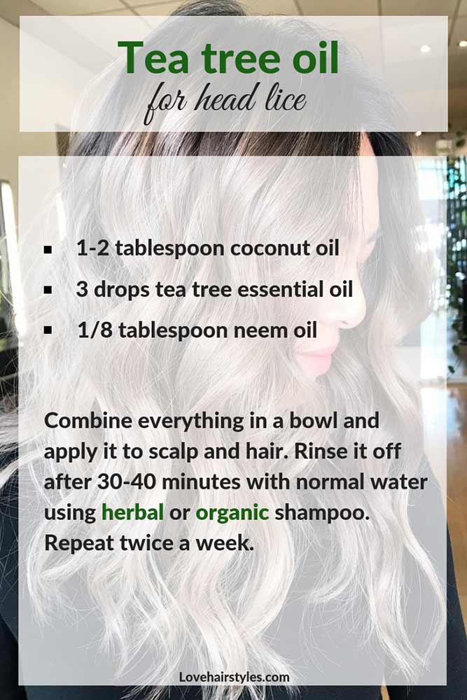 Tea Tree Oil To Get Rid Of Head Lice #hairtreatments #teatreeoilforhair