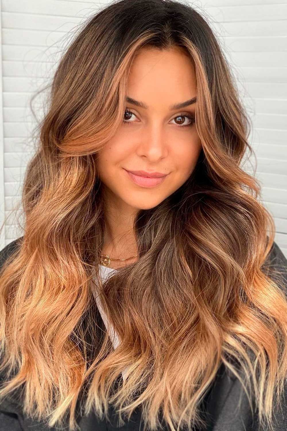 Brown Hair With Subtle Highlights