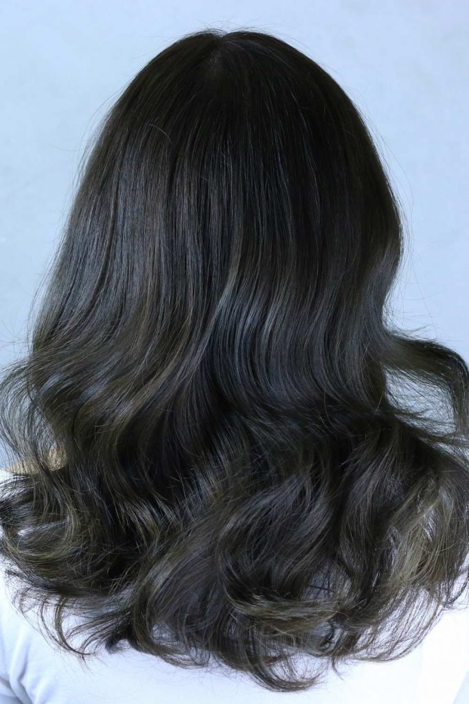 Black Hair Color Base With Ash Brown Highlights