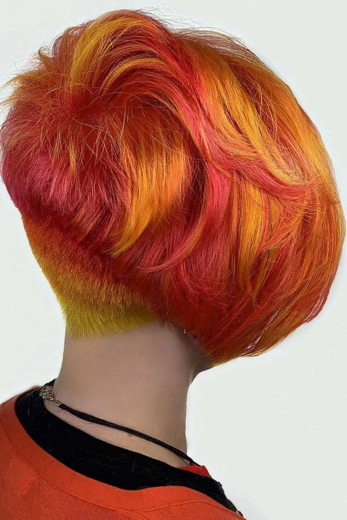 Vivid Pixie Bob