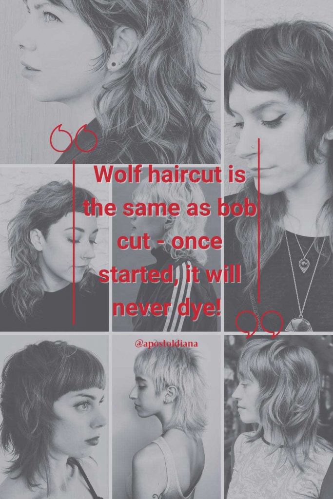 Wolf haircut is the same as bob cut - once started, it will never dye! The perfect face shape for this haircut is oval or diamond.