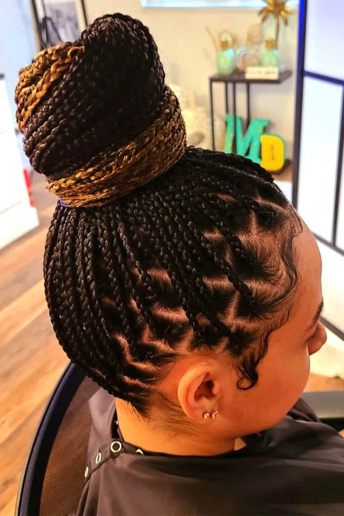Two Colors Small Box Braids With Updo